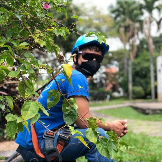 Sostenibilidad en refrigeración